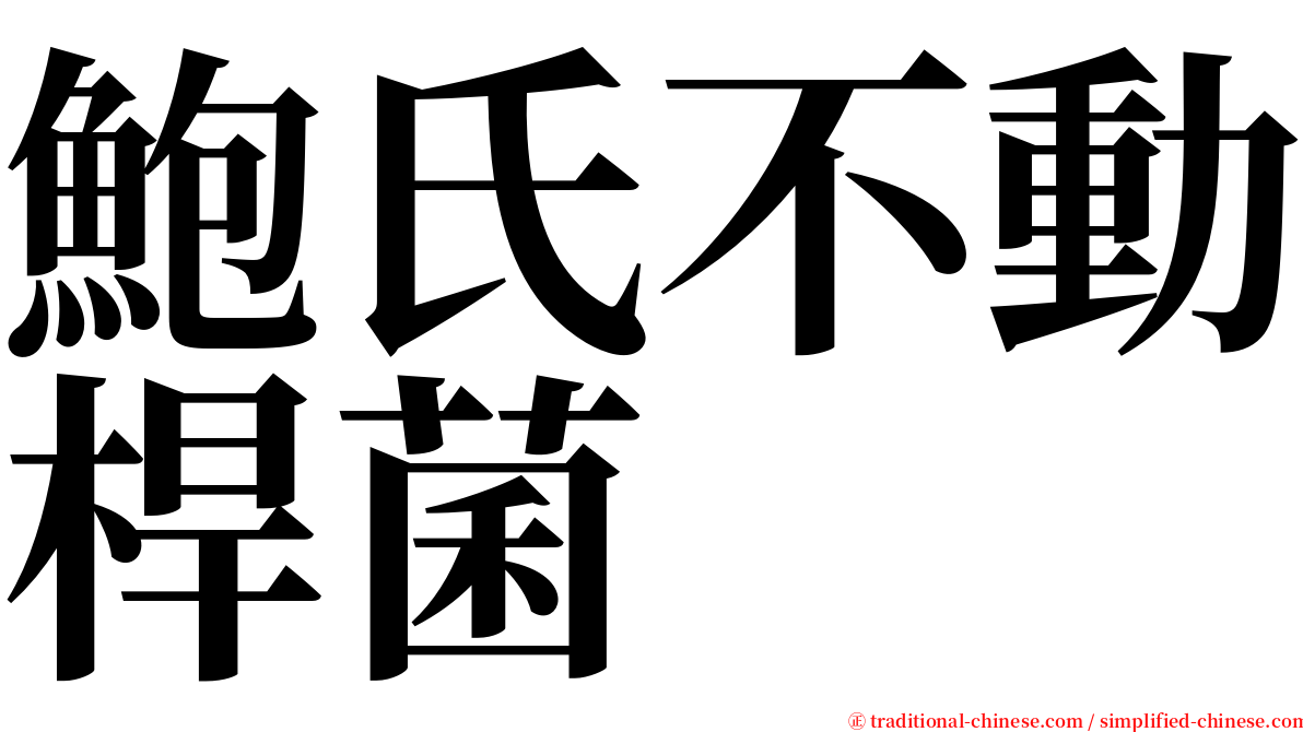 鮑氏不動桿菌 serif font