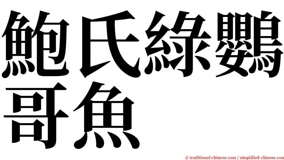 鮑氏綠鸚哥魚 serif font