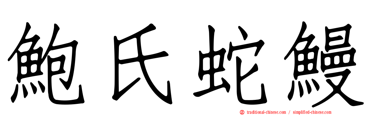 鮑氏蛇鰻