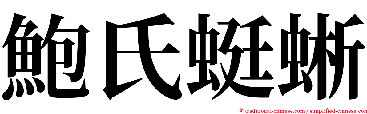 鮑氏蜓蜥 serif font