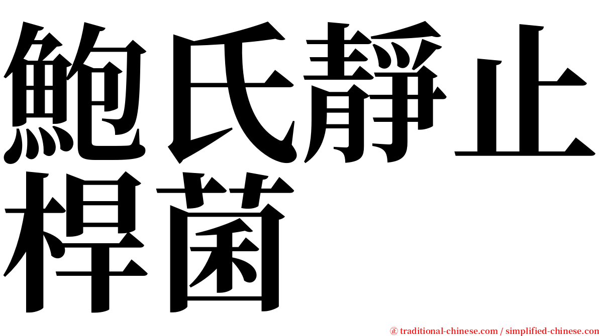 鮑氏靜止桿菌 serif font