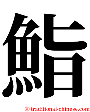 鮨 serif font