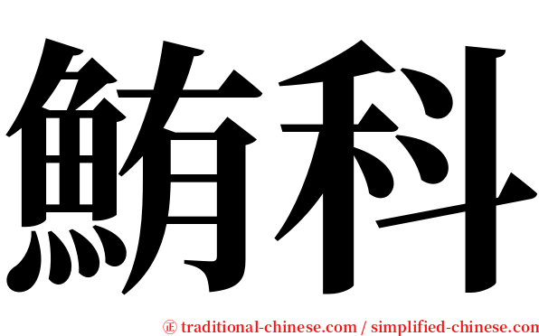 鮪科 serif font