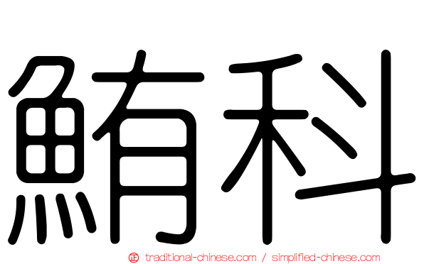 鮪科