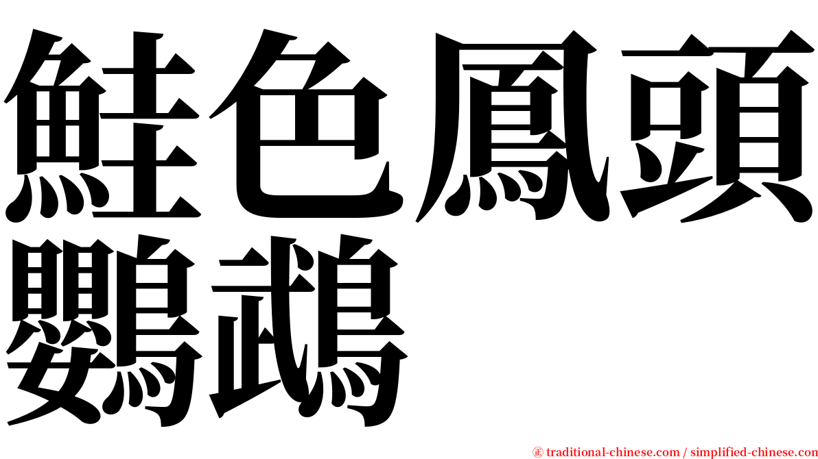 鮭色鳳頭鸚鵡 serif font