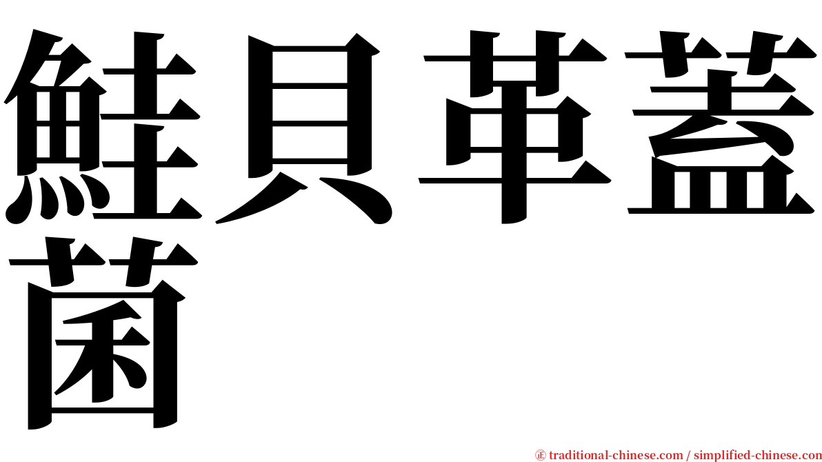 鮭貝革蓋菌 serif font