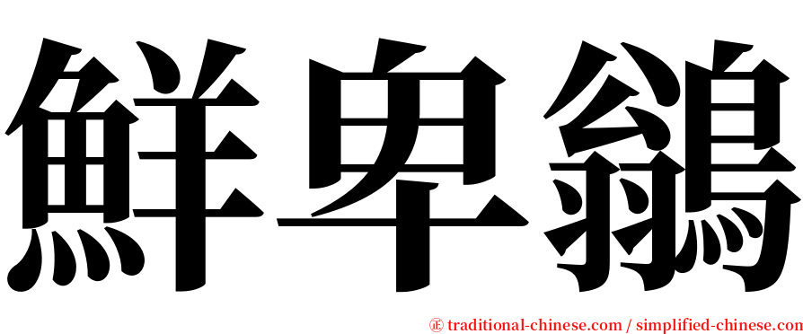 鮮卑鶲 serif font