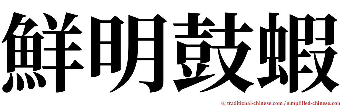 鮮明鼓蝦 serif font