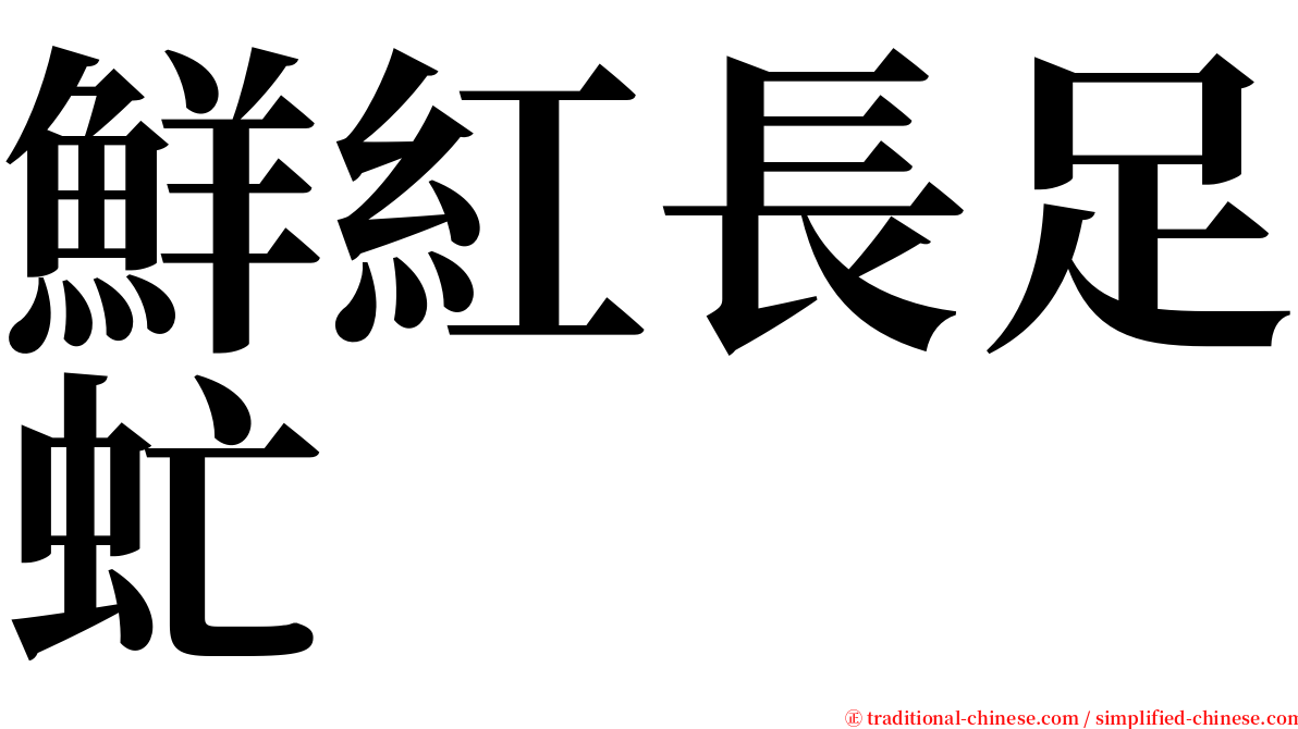 鮮紅長足虻 serif font