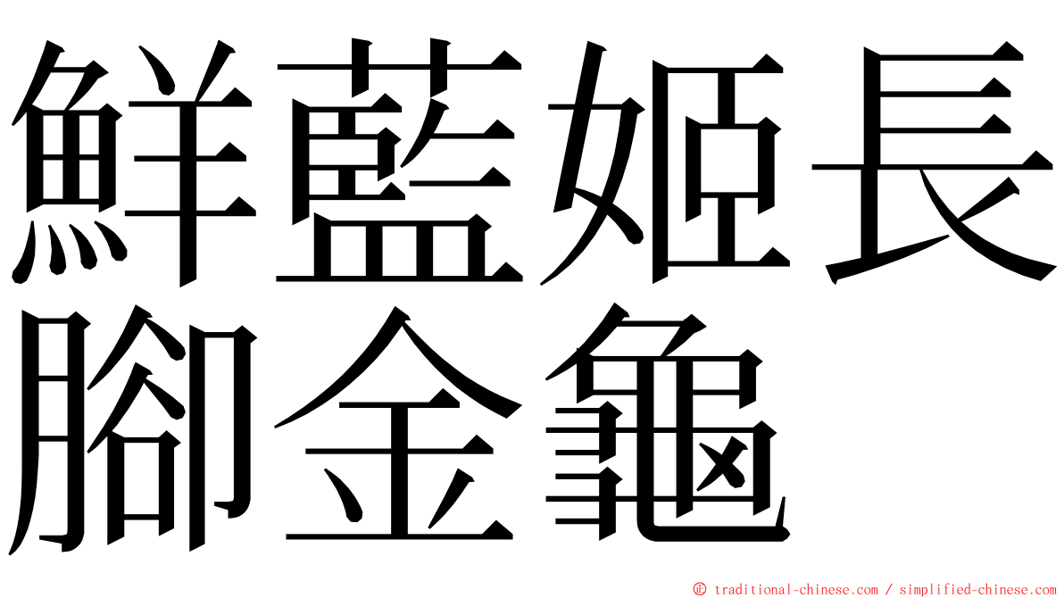 鮮藍姬長腳金龜 ming font