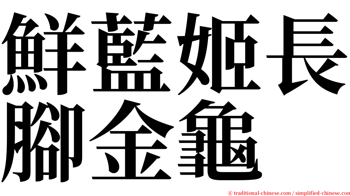 鮮藍姬長腳金龜 serif font