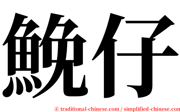 鮸仔 serif font