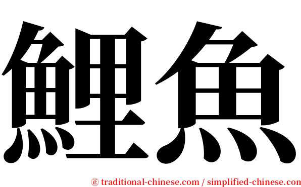 鯉魚 serif font