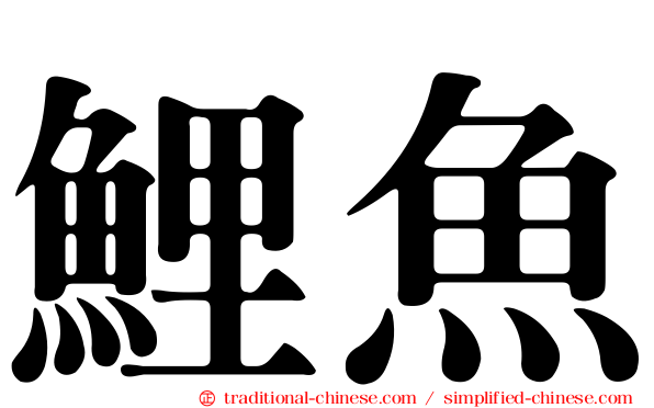 鯉魚