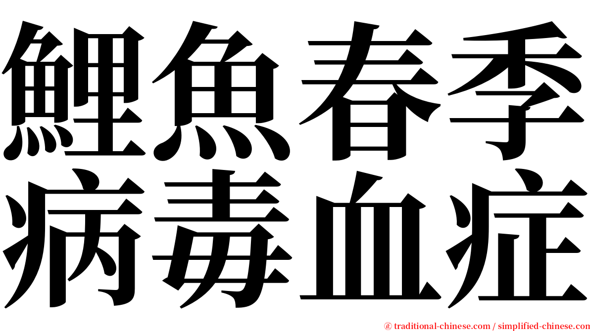 鯉魚春季病毒血症 serif font