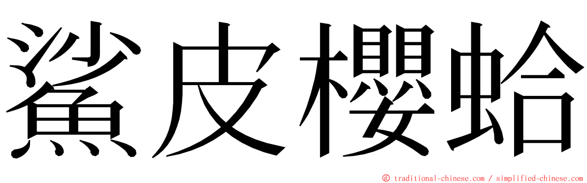 鯊皮櫻蛤 ming font