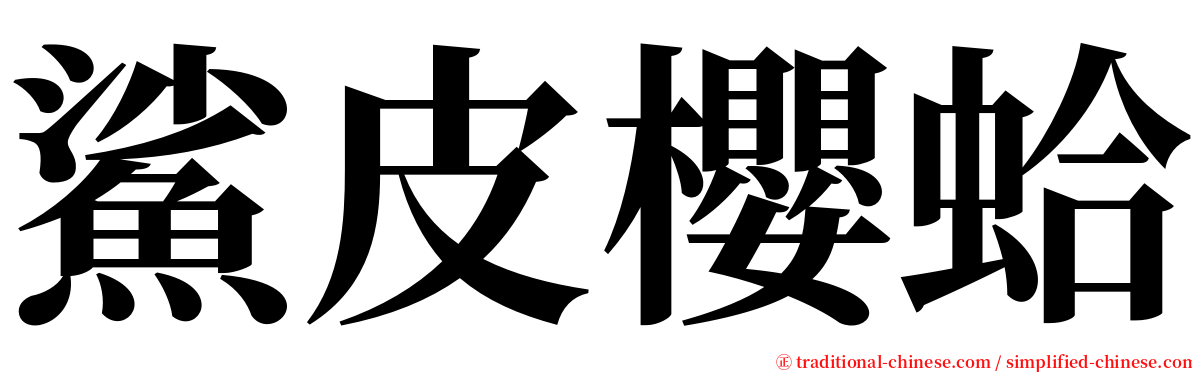 鯊皮櫻蛤 serif font