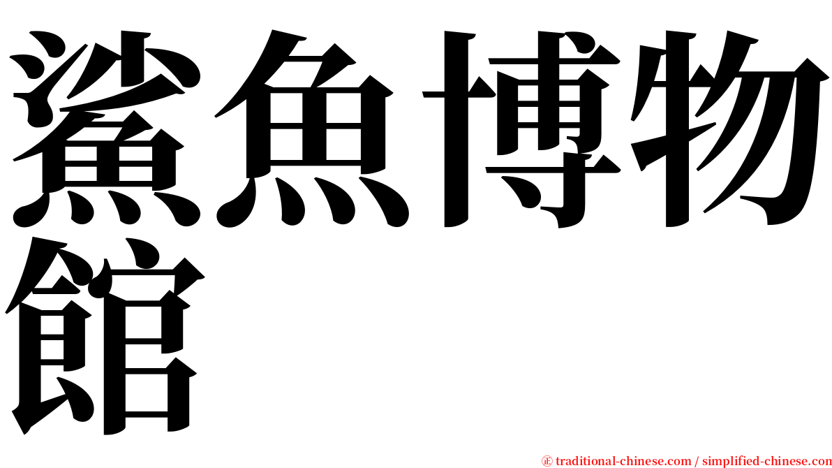 鯊魚博物館 serif font