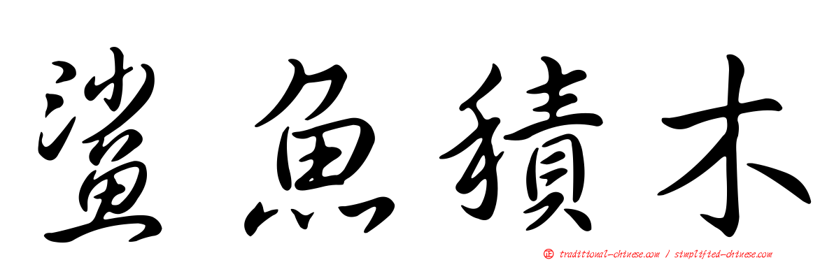 鯊魚積木
