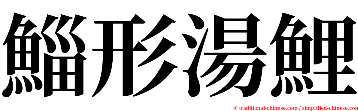 鯔形湯鯉 serif font