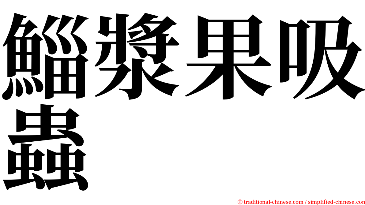 鯔漿果吸蟲 serif font