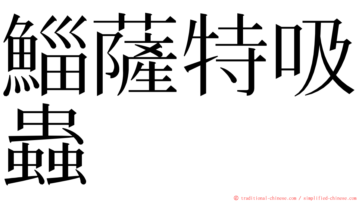 鯔薩特吸蟲 ming font