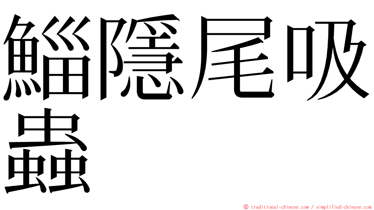 鯔隱尾吸蟲 ming font