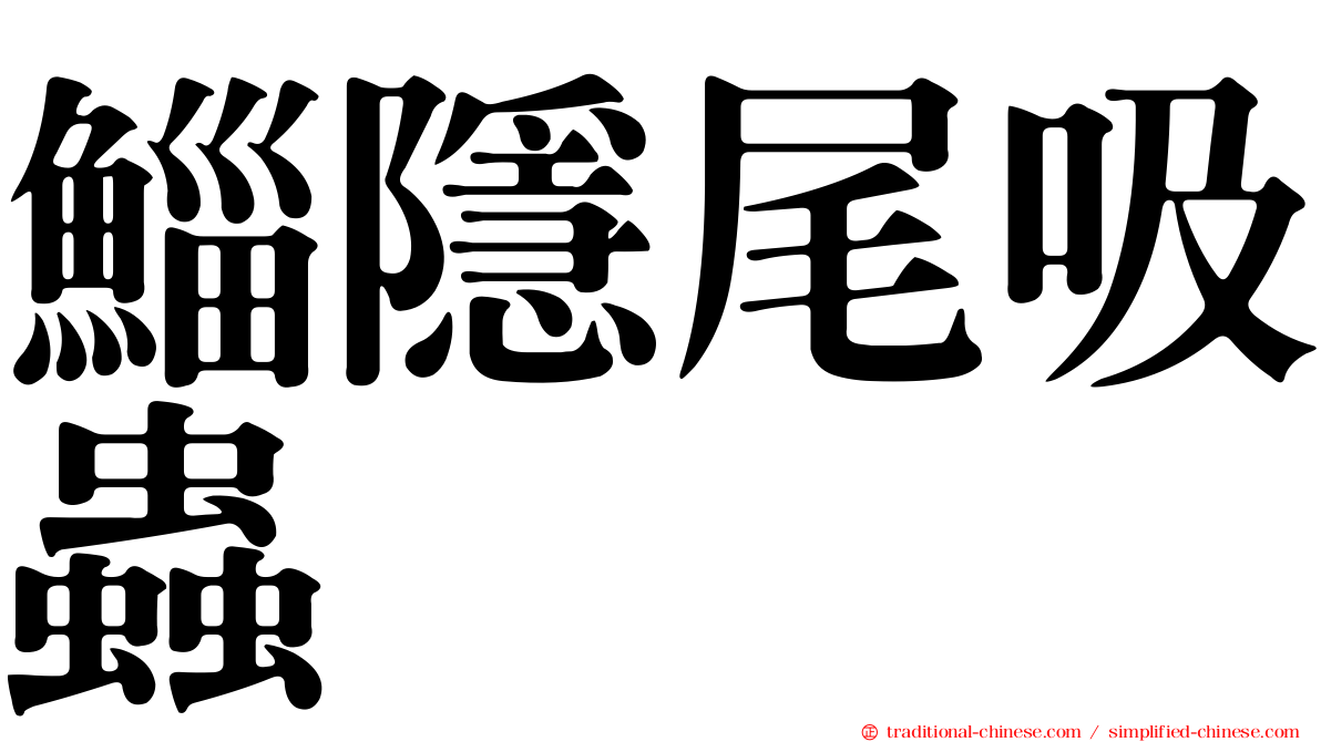 鯔隱尾吸蟲