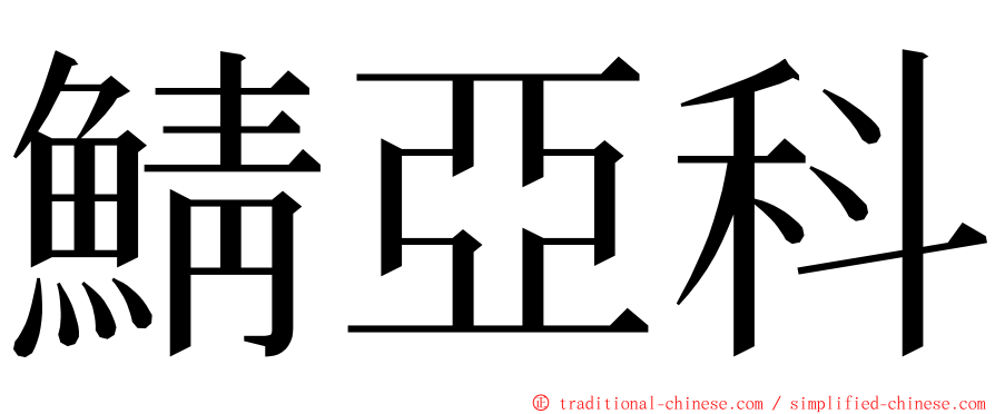 鯖亞科 ming font