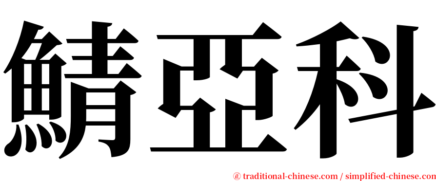 鯖亞科 serif font