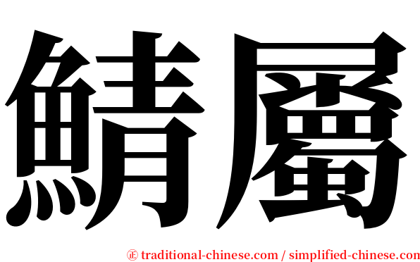 鯖屬 serif font