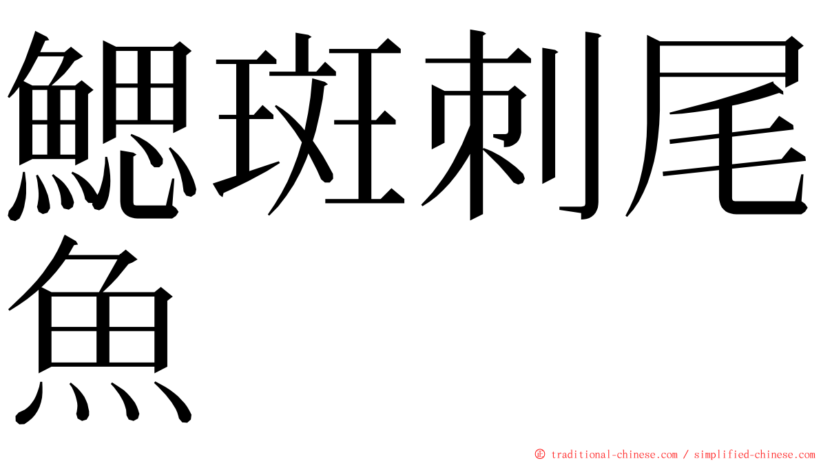 鰓斑刺尾魚 ming font