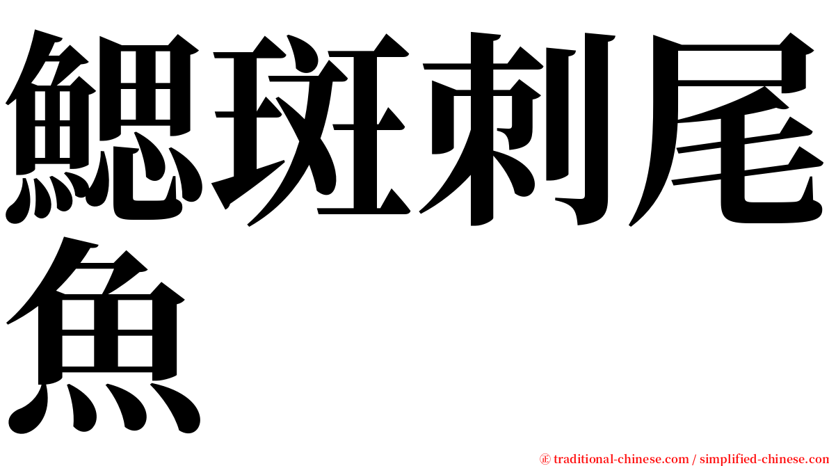 鰓斑刺尾魚 serif font