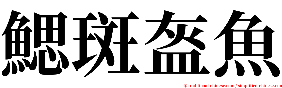 鰓斑盔魚 serif font