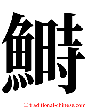 鰣 serif font