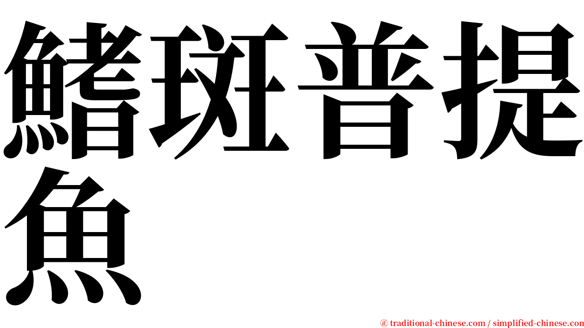 鰭斑普提魚 serif font