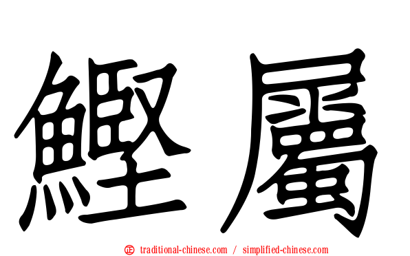 鰹屬