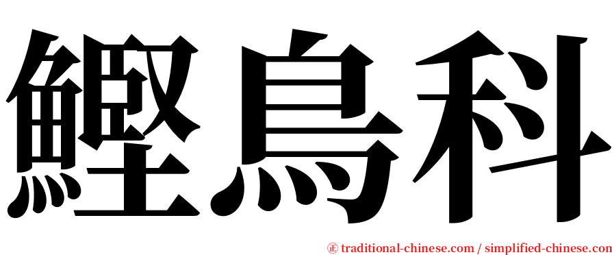 鰹鳥科 serif font