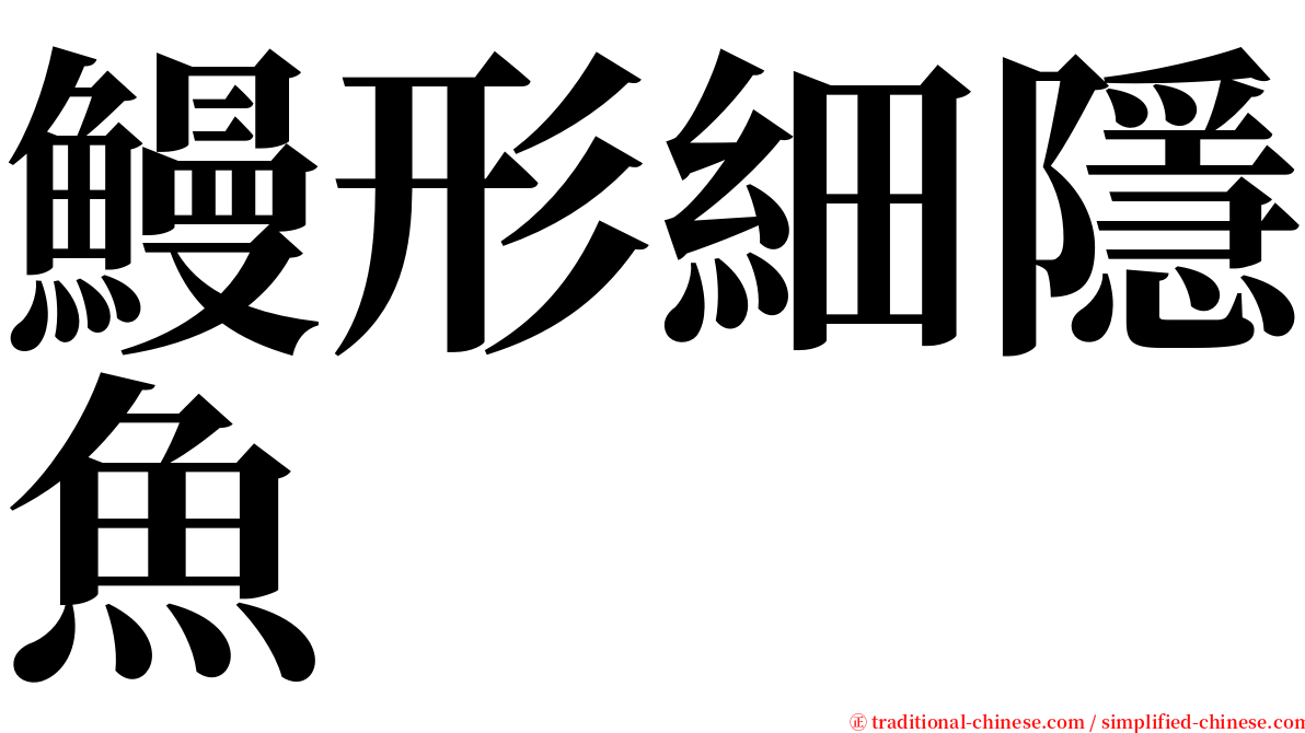 鰻形細隱魚 serif font