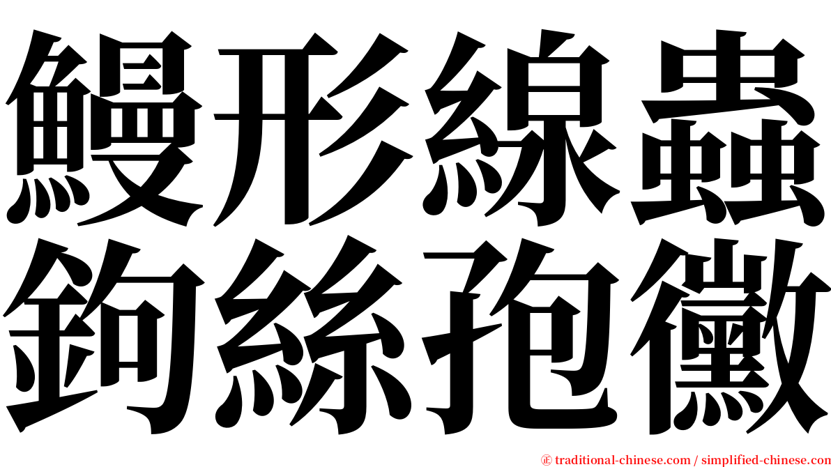 鰻形線蟲鉤絲孢黴 serif font