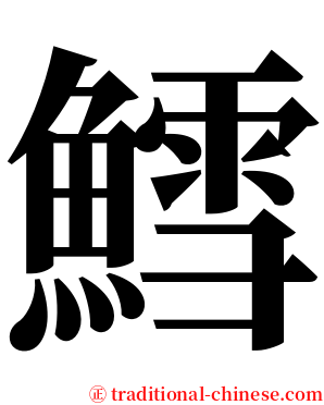 鱈 serif font