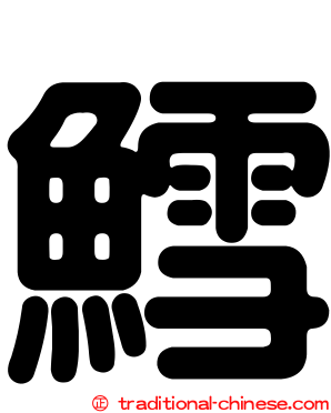 鱈