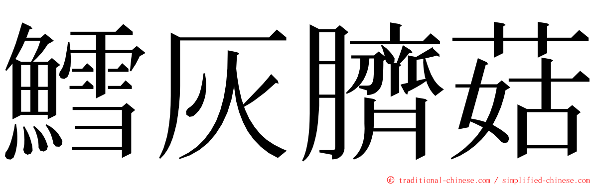 鱈灰臍菇 ming font