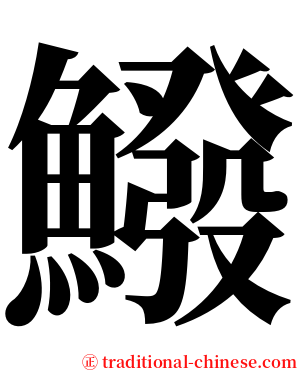 鱍 serif font