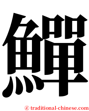 鱓 serif font