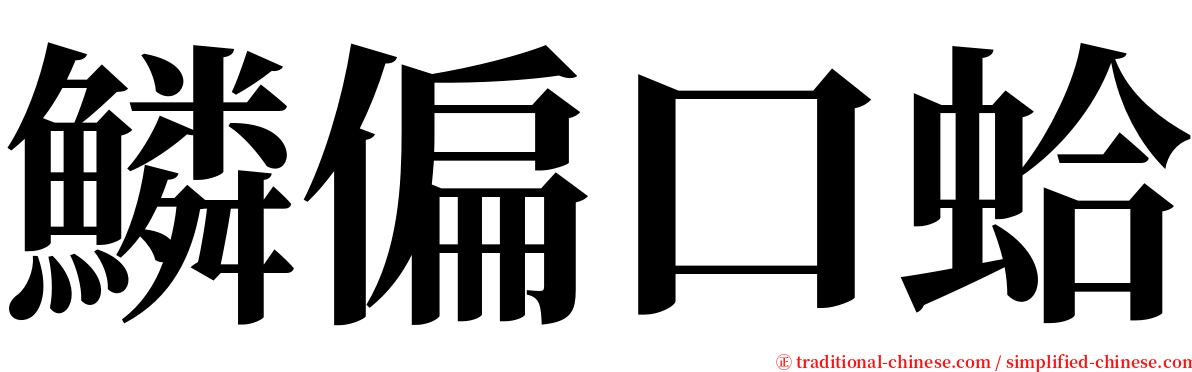 鱗偏口蛤 serif font