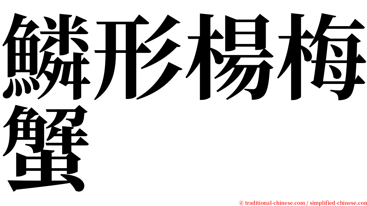 鱗形楊梅蟹 serif font