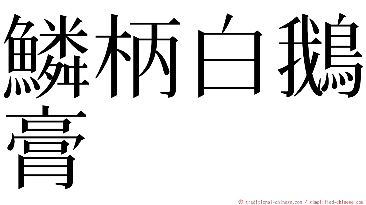 鱗柄白鵝膏 ming font