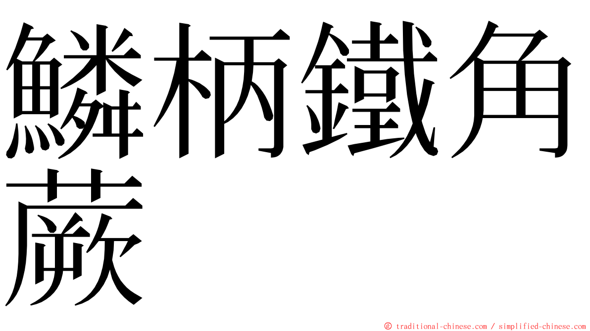 鱗柄鐵角蕨 ming font