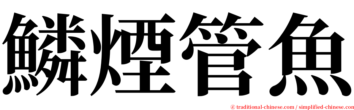 鱗煙管魚 serif font